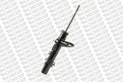 MONRG8099